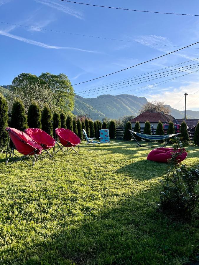 Villa Nova Бран Екстериор снимка